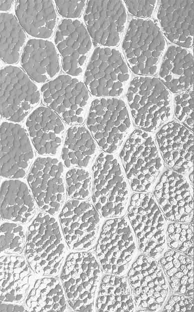 three-dimensional physical painting texture