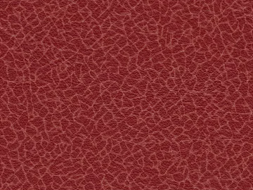 Coarse-grain leather texture (ID:ffaeg83749)