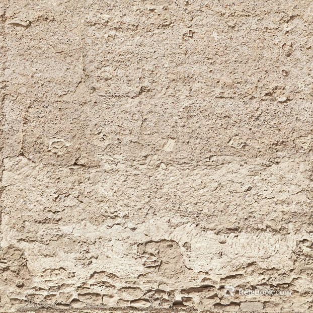 Beige Lyme Stone Wall Finish texture