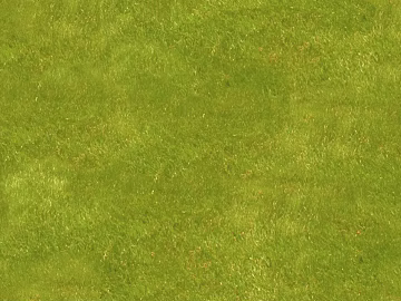 Turf texture (ID:ffaeg54622)