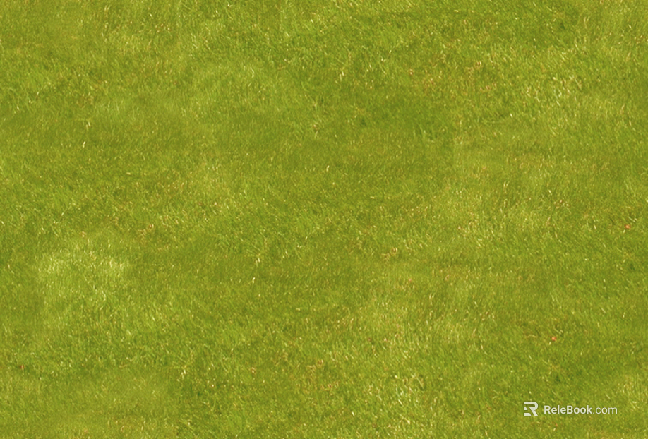 Turf texture