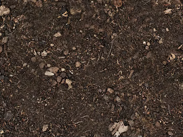 Mud texture (ID:ffacg10854)