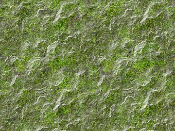 New Chinese moss stone texture (ID:ffajh574702)