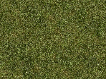 moss texture (ID:ffacg74025)