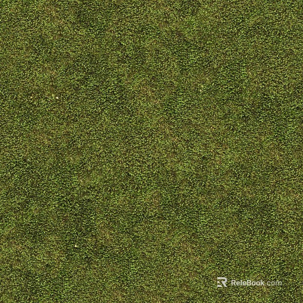 moss texture