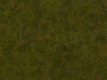 grassland soil wetland ground texture (ID:ffach854716)