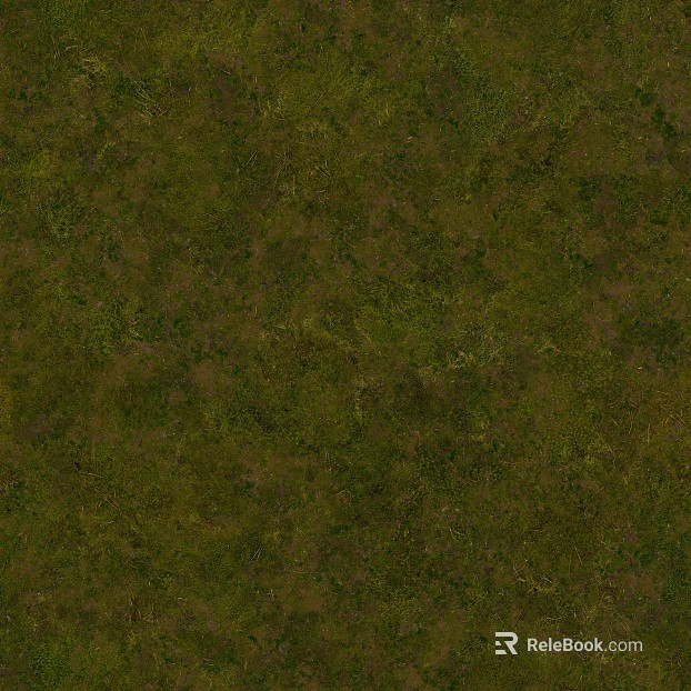 grassland soil wetland ground texture