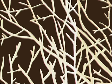 plant pattern texture (ID:ffaag53287)
