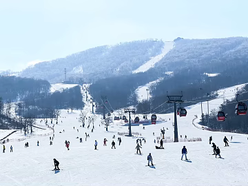 Wild Scenery texture (ID:ffajg34575)