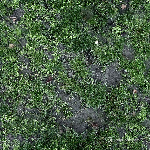 Grassland texture