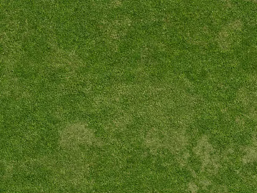 Turf 3d model
