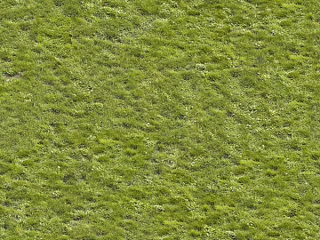 Turf ground texture (ID:ffabf6465)