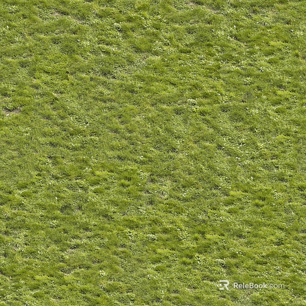 Turf ground texture