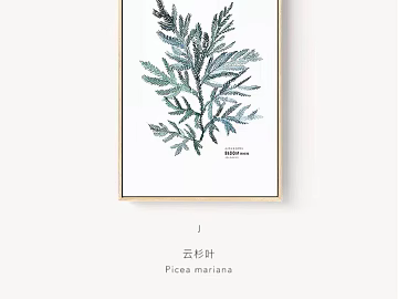 Plant painting texture (ID:ffacg24935)