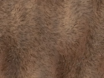 animal hair texture (ID:ffach278614)