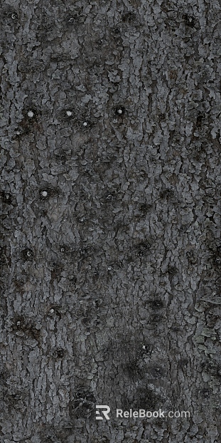 bark texture