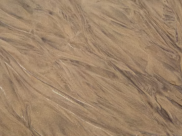 Wood grain texture (ID:ffaag06267)