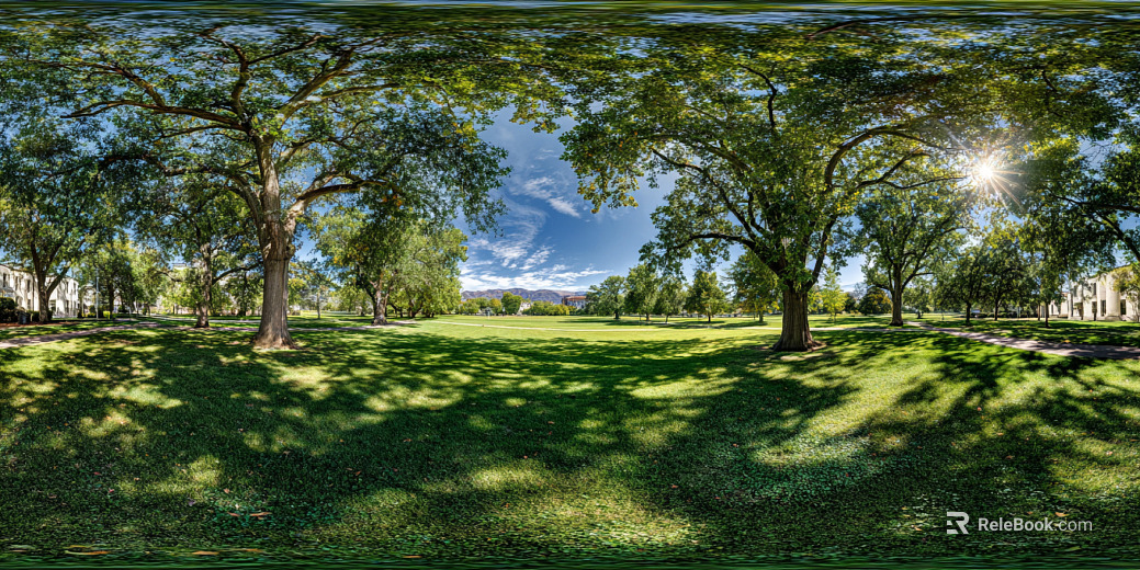 Blue Sky White Clouds Lawn Forest Landscape HDR texture