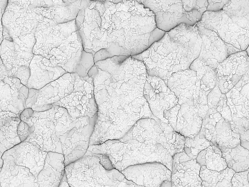 Black and White Bump texture (ID:ffajg75768)