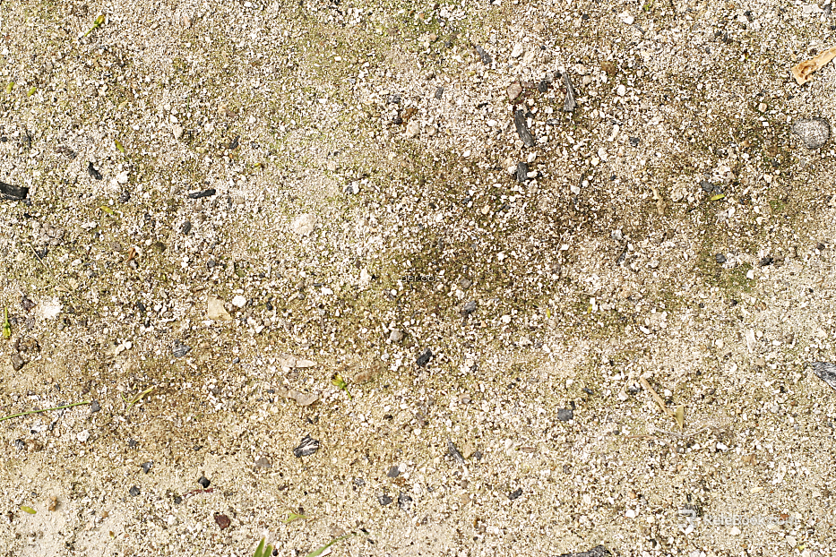Sand texture