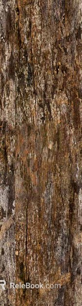 bark texture