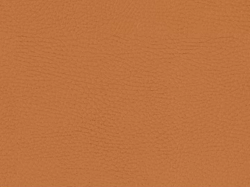 fine grain leather texture (ID:ffagg28676)