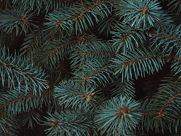 leaves texture (ID:ffabg58432)