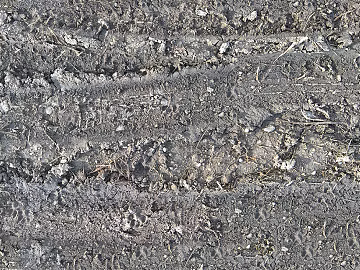 Sandy soil road ground texture (ID:ffach766061)