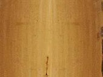 Bamboo texture (ID:ffacg92507)