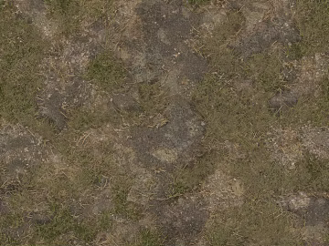 Grassland texture (ID:ffach051526)