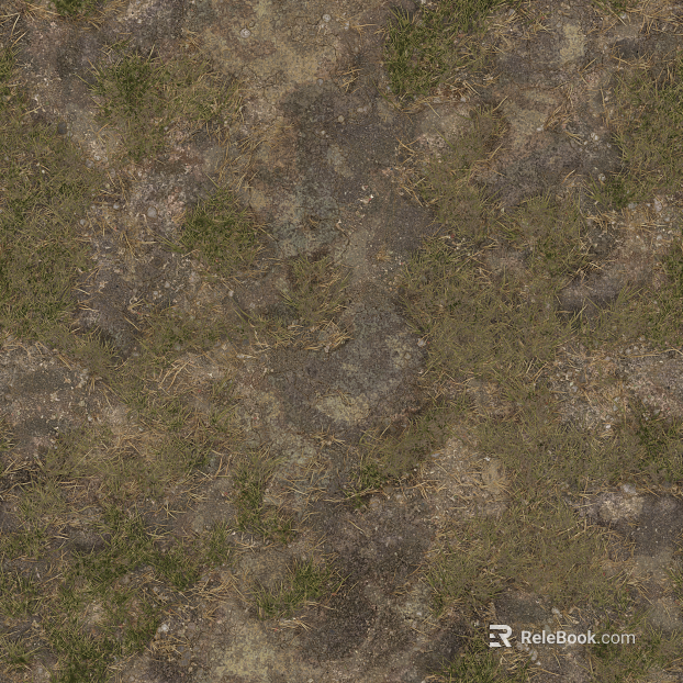 Grassland texture