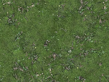 Turf texture (ID:ffach066586)
