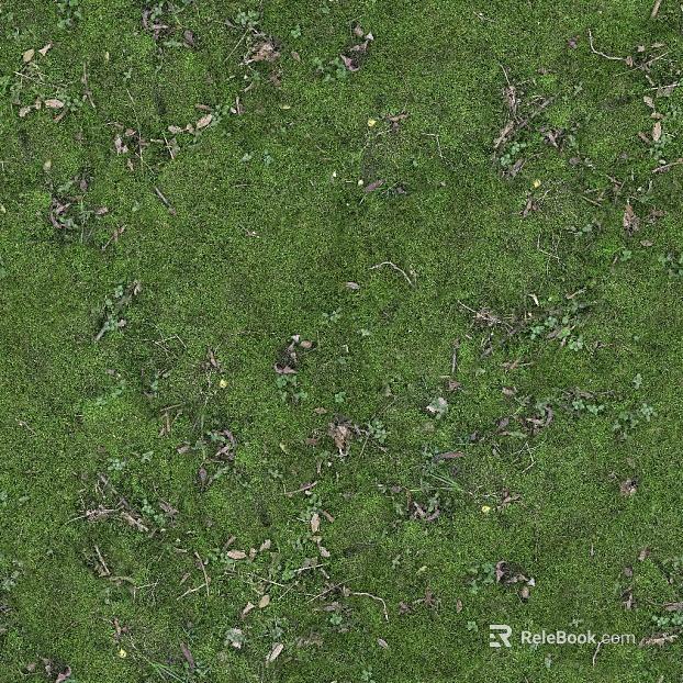 Turf texture