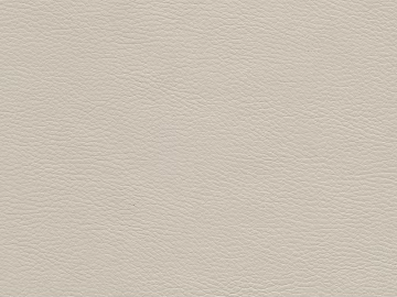 Coarse-grain leather texture (ID:ffabg99868)