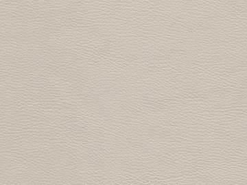 Coarse-grain leather texture (ID:ffabg99868)