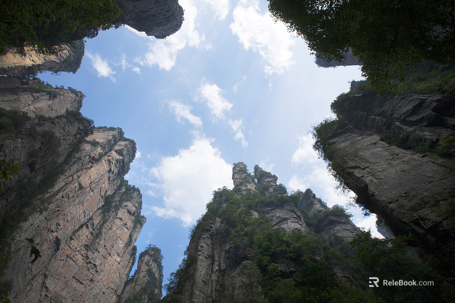 Wild Scenery texture