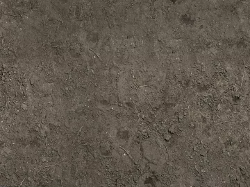 Mud ground texture (ID:ffaaf5780)