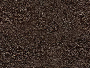Mud texture (ID:ffaef6559)