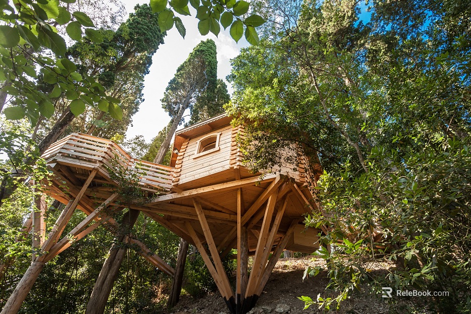 Natural cabin pictures texture