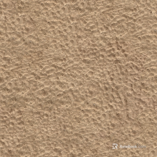 Beach Beach texture