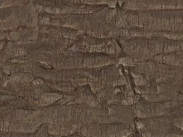 bark texture (ID:ffajg41069)
