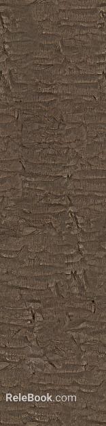 bark texture
