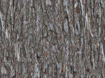 bark texture (ID:ffaag54996)