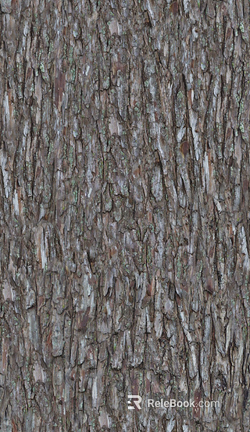 bark texture