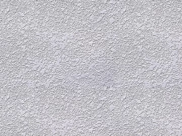 Modern Diatom Mud Texture Coatings texture (ID:ffach316500)
