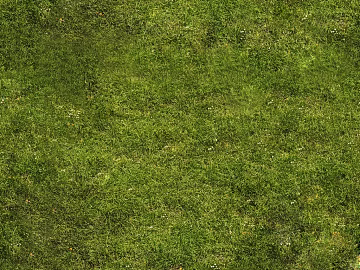 Turf texture (ID:ffagf0893)
