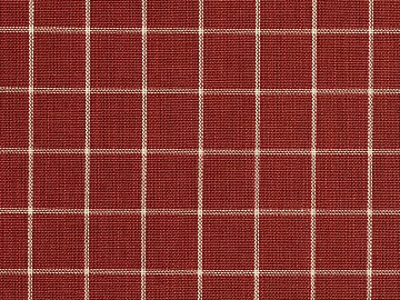 Plaid 3d model