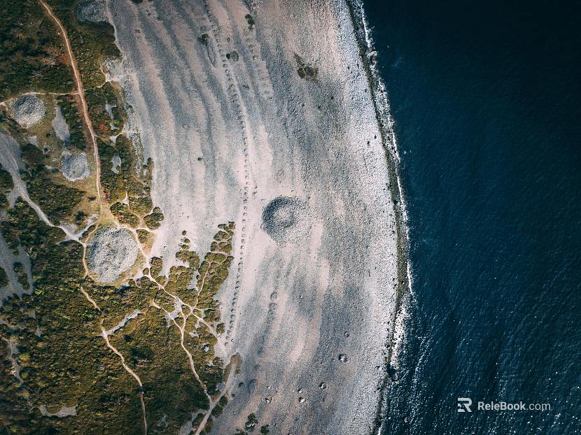 Wild Scenery texture