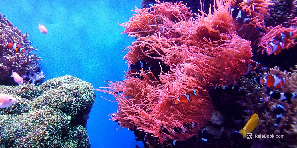 Fish tank texture