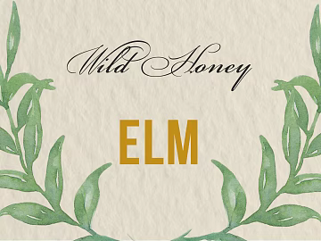 plant pattern texture (ID:ffaeg11693)